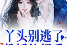 主角是苏绾晚谢宴宁的小说丫头别逃了！教授他超爱在哪免费看-星辰文学