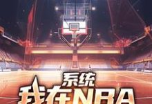 求助这本系统：我在NBA把把都超神小说在哪里可以看完结版-星辰文学