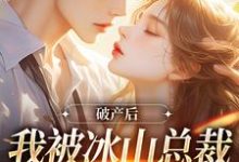 破产后，我被冰山总裁接回家（主角涂鸢谢引鹤）完结版免费阅读-星辰文学