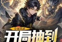 求助这本全球高武，开局抽到荒古圣体小说在哪里可以看完结版-星辰文学