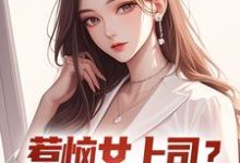 主角是张文定的小说惹恼女上司？我有妙计摆平在哪免费看-星辰文学