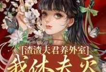 渣渣夫君养外室，我休夫灭妾另高嫁（主角萧时衍叶宛卿）完结版免费阅读-星辰文学