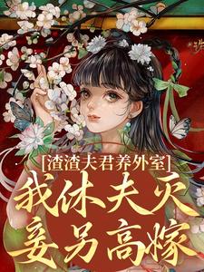 渣渣夫君养外室，我休夫灭妾另高嫁（主角萧时衍叶宛卿）完结版免费阅读