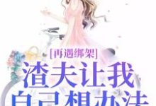 再遇绑架,渣夫让我自己想办法(苏夏顾帆)最新章节免费阅读-星辰文学