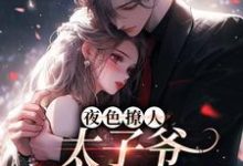夜色撩人，太子爷为她乱了心小说最新章节在哪里可以免费看-星辰文学