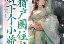 天上掉下个小娇娇，猎户圈住宠热门小说(沈青山)在线阅读无弹窗-星辰文学