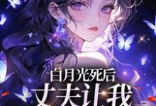 白月光死后,丈夫让我去给她赔罪小说最新章节在哪里可以免费看-星辰文学