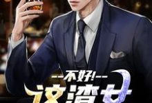 不好！这渣女要虐死了（顾迟云云晚晚）全章小说阅读-星辰文学