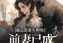 霸总追妻火葬场：前妻已成人间富贵花热门小说排行榜霸总追妻火葬场：前妻已成人间富贵花秦桑傅霆深免费小说全本-星辰文学