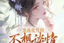 (全文)黑莲花驾到，不想谈情只想晋升完结小说推荐宁司寒林妩全本书籍阅读-星辰文学