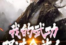 完了！我的武功强过全族人最新完结小说完了！我的武功强过全族人林枫苏清雪免费小说-星辰文学