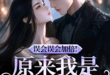 误会误会加倍！原来我是他的挚爱（宁穗季晏辞）全章小说阅读-星辰文学