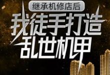继承机修店后,我徒手打造乱世机甲最新完结小说继承机修店后,我徒手打造乱世机甲苏白苏南天免费小说-星辰文学