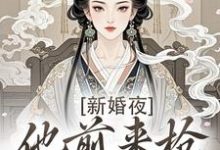 新婚夜，他前来抢夺我的心最新章节阅读新婚夜，他前来抢夺我的心(温棠谢云州)试读更新章节-星辰文学