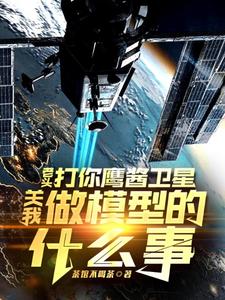 老头打你鹰酱卫星，关我做模型的什么事（秦阳）全章小说阅读