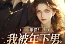 秦牧琛虞恩谁懂！我被年下男强取豪夺了全本免费在线阅读-星辰文学