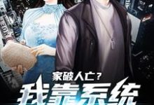 家破人亡？我靠系统儿孙满堂柳若澜许良完结小说推荐，家破人亡？我靠系统儿孙满堂全章小说阅读-星辰文学