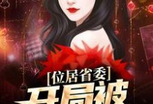 (全文)位居省委，开局被妻子举报(苏玉黎锦)全本免费在线阅读-星辰文学