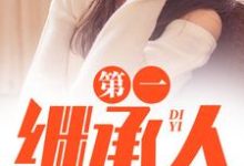 徐飞第一继承人全本免费在线阅读-星辰文学