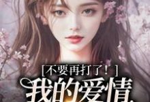 (全文)不要再打了！我的爱情我自己选（裴撤苏暖）免费小说不要再打了！我的爱情我自己选试读更新章节-星辰文学