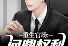 重生官场：问鼎权利之巅林峰刘艳茹热门小说排行榜重生官场：问鼎权利之巅免费小说-星辰文学