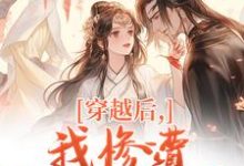 穿越后，我惨遭主角团抛弃穆长安宋律最新完结小说，穿越后，我惨遭主角团抛弃全本免费在线阅读-星辰文学