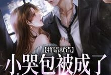 (全文)将错就错：小哭包被成了大佬心尖宠（慕汀洲姜桃）全本书籍阅读将错就错：小哭包被成了大佬心尖宠免费小说全本-星辰文学