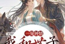 (全文)一见钟情，我和世子天生一对(沈如风苏云锦)全本免费在线阅读-星辰文学