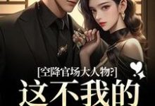 空降官场大人物？这不我的裙下臣吗顾杳周政良热门小说排行榜空降官场大人物？这不我的裙下臣吗免费小说-星辰文学