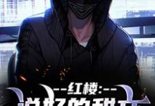 齐洛红楼：说好的甜文咋变恐怖文了全本免费在线阅读-星辰文学