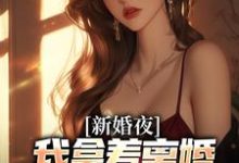(全文)新婚夜，我拿着离婚协议黯然离场免费小说全本，叶修远白若雪试读更新章节-星辰文学