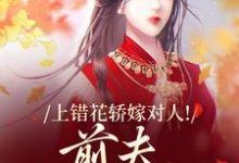上错花轿嫁对人！前夫追悔莫及萧念窈陆奉行试读更新章节上错花轿嫁对人！前夫追悔莫及萧念窈陆奉行免费小说-星辰文学