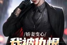 (全文)娇妻变心，我被仇恨占据了全身路无铭墨凉馨全本免费在线阅读-星辰文学