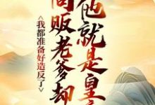 我都准备好造反了，商贩老爹却说他就是皇帝？嬴政赵牧热门小说排行榜我都准备好造反了，商贩老爹却说他就是皇帝？免费小说-星辰文学