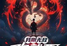 我刚无敌，你就要跟我退婚？苏阳试读更新章节我刚无敌，你就要跟我退婚？苏阳免费小说-星辰文学