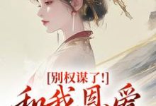 (全文)别权谋了！和我恩爱才是王道（盛西棠）免费小说别权谋了！和我恩爱才是王道试读更新章节-星辰文学