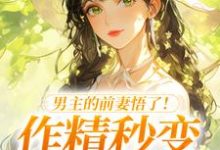 男主的前妻悟了！作精秒变粘人精许岁宁霍青山完结小说推荐，男主的前妻悟了！作精秒变粘人精全章小说阅读-星辰文学
