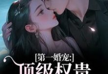 (全文)第一婚宠：顶级权贵追妻火葬场免费小说全本，叶惊兰薄戎淮试读更新章节-星辰文学