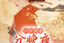 六年贤妻,分娩夜心死换和离姜玉筝沈宴沉完结小说推荐,六年贤妻,分娩夜心死换和离全章小说阅读-星辰文学