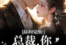 舔狗觉醒:总裁,你只是个替身许瑾禾裴景之试读更新章节舔狗觉醒:总裁,你只是个替身许瑾禾裴景之免费小说-星辰文学