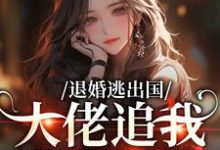 退婚逃出国，大佬追我满世界跑（江野崎楚灵兮）全本书籍阅读退婚逃出国，大佬追我满世界跑完整版小说-星辰文学