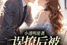 (全文)小透明逆袭完结小说推荐许惟昭方肃礼全本书籍阅读-星辰文学