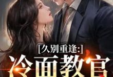 久别重逢推荐完结小说，久别重逢唐恬沈南雾免费小说全本-星辰文学