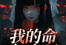 何皎苏清槐我的命亿点硬全本免费在线阅读-星辰文学