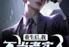 重生后，我不当老实人当浪子！完整版小说，重生后，我不当老实人当浪子！秦守赵瑞龙全章小说阅读-星辰文学