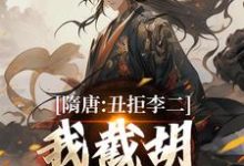 隋唐：丑拒李二，我截胡众枭雄李渊吴缺完结小说推荐，隋唐：丑拒李二，我截胡众枭雄全章小说阅读-星辰文学