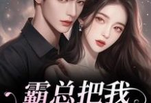 霸总把我当替身后，他真的后悔了最新章节阅读霸总把我当替身后，他真的后悔了(白筱帆盛延)试读更新章节-星辰文学