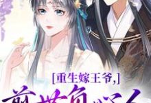 沈挽谢景御重生嫁王爷，前世负心人竟是我？全本免费在线阅读-星辰文学