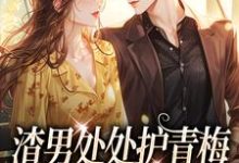 渣男处处护青梅热门小说排行榜渣男处处护青梅方毅沈绮免费小说全本-星辰文学