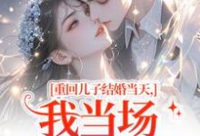 重回儿子结婚当天（刘琴刘勇）全章小说阅读-星辰文学
